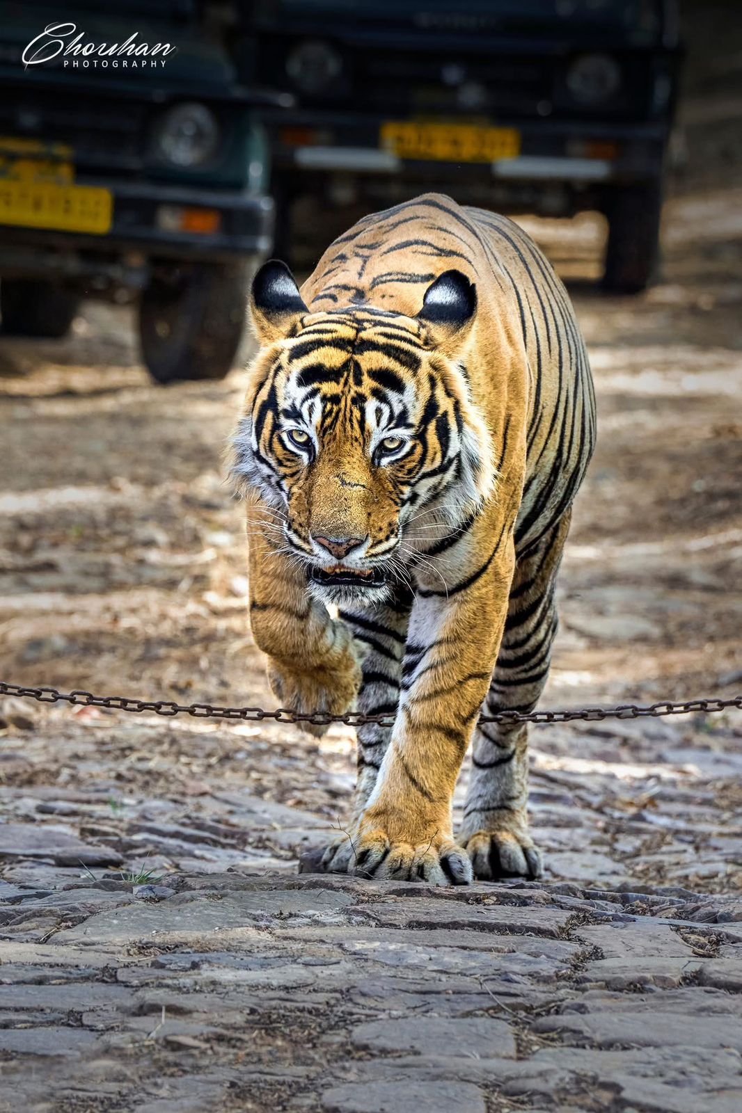 WhatsApp Image 2025-10-19 at 14.41.13_de17817c