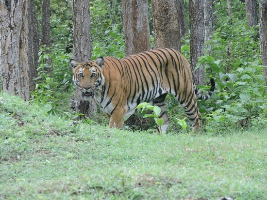 img-20180607-wa0014-largejpg