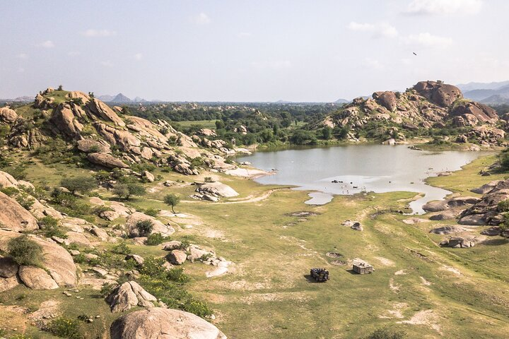 433c569b-d4ae-4c3a-b43c-6e28321a5483_ranakpur-leopard-jeep-safari