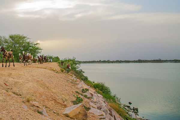 Chandlai-Lake-Jaipur