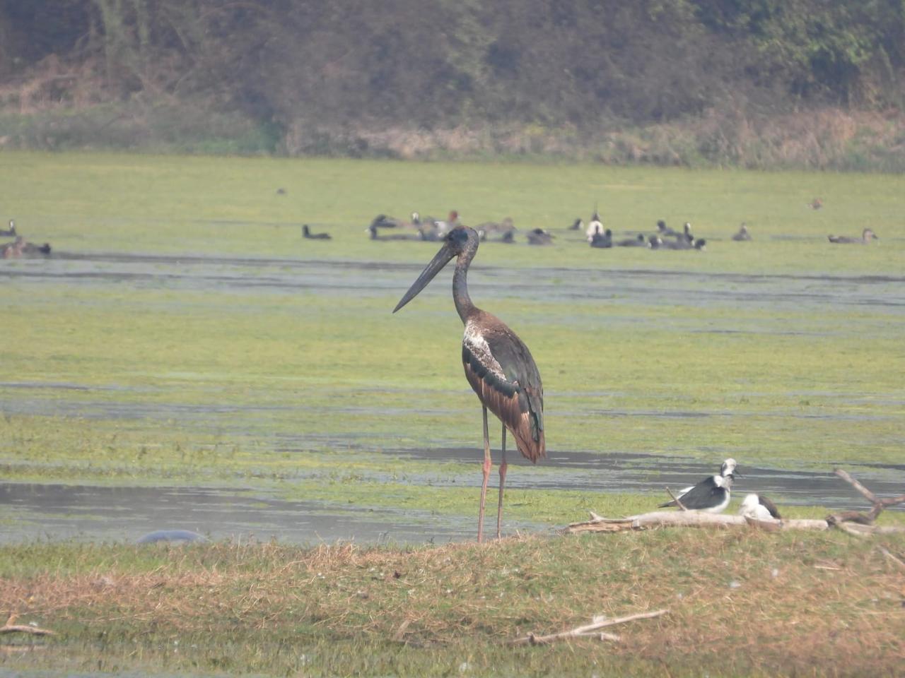 WhatsApp Image 2025-10-19 at 14.53.03_2f85c135