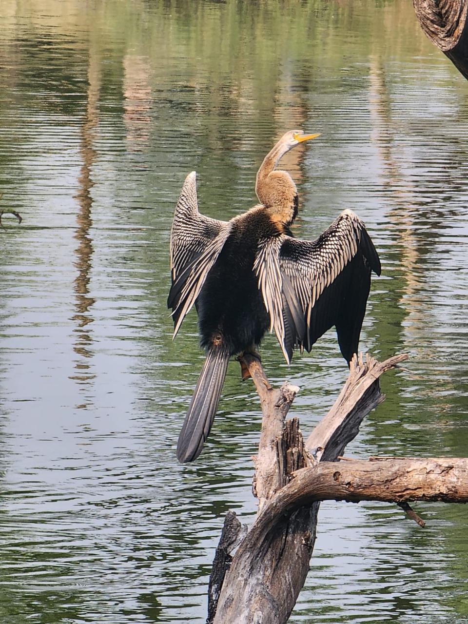 WhatsApp Image 2025-10-19 at 14.53.03_f3710974