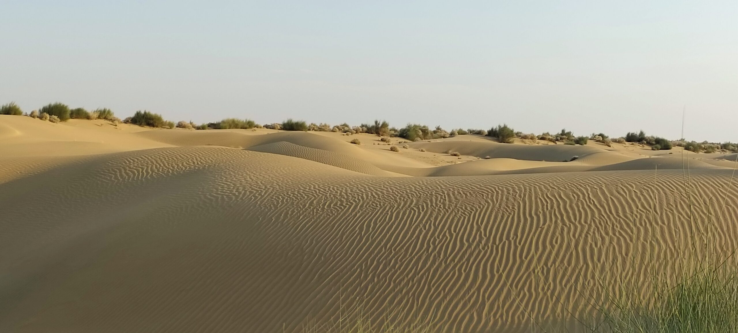 filter: 0; fileterIntensity: 0.0; filterMask: 0; module: photo;
hw-remosaic: false;
touch: (-1.0, -1.0);
modeInfo: ;
sceneMode: 32768;
cct_value: 5125;
AI_Scene: (1, 0);
aec_lux: 97.483734;
aec_lux_index: 0;
hist255: 0.0;
hist252~255: 0.0;
hist0~15: 0.0;
albedo: ;
confidence: ;
motionLevel: 0;
weatherinfo: null;
temperature: 33;